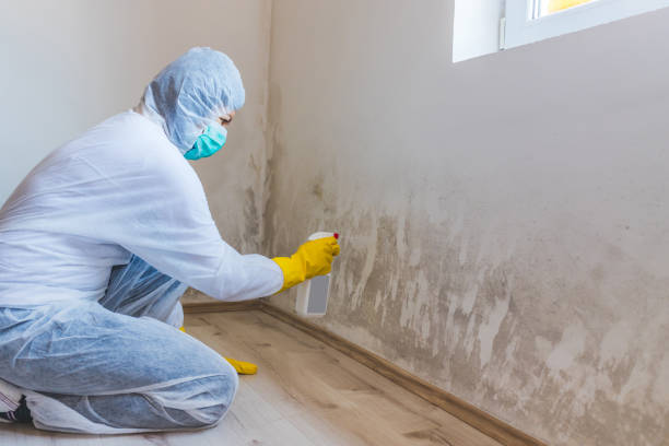 Licensed Mold Remediation service in Watchung, NJ - WQB Mold Removal