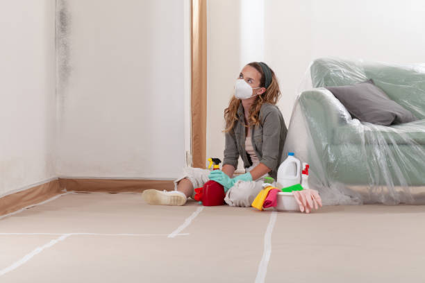 Reliable Mold Remediation contractor in Watchung, NJ by WQB Mold Removal